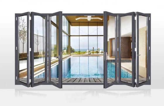 टाइफून प्रतिरोधी मोटी प्रोफाइल के साथ काले एल्यूमीनियम द्विगुट दरवाजे