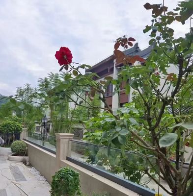 लचीला एल्यूमीनियम यू चैनल ग्लास रेलिंग आउटडोर फ्रेमलेस ग्लास बैलस्ट्रेड